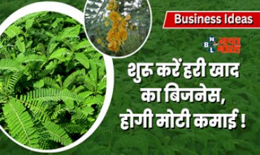Business Ideas : खुशखबरी! अब अपने खेतों के लिए मिलेगा फ्री फर्टिलाइजर, आज ही शुरू करें हरी खाद का बिजनेस, होगी बम्पर कमाई...