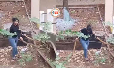 Snake And Girl Viral News: बिल में जाते सांप को खींचने लगी लड़की, करने लगी ऐसी हरकत, नज़ारा देख लोगों के भी छुटे पसीने- देखें वीडियो...