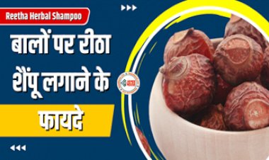 Reetha Herbal Shampoo : घने और मोटे बालों के लिए घर पर बनाएं रीठा शैंपू, पहले से भी ज्यादा चमकने लगेंगे आपके बाल, ये है आसान तरीका...