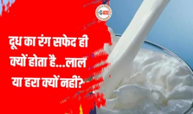 Why Color Of Milk Is White: कभी सोंचा है, दूध का रंग सफ़ेद ही क्यों होता है? लाल या हरा क्यों नहीं! जानकर चौंक जायेंगे आप...