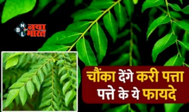 Curry Leaves Benefits: औषधि से कम नहीं है करी पत्ता, आज ही शुरू करें इसका सेवन, पेट की चर्बी को करेगा कम और साथ ही मिलेंगे कई सारे फायदे ...