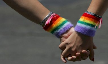 Same-Sex Marriage : समलैंगिक जोड़ों को बिना शादी सामाजिक फायदे देने के लिए कमेटी बनाएगा केंद्र….