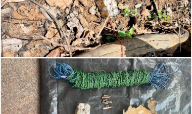 CG ब्रेकिंग : नारायणपुर के थाना ओर्छा के ग्राम कोडोली फूलमेटा  के जंगल में  बीडीएस टीम द्वारा एरिया के सर्चिंग दौरान एक करीब 4 किलो  का IED  बरामद किया...