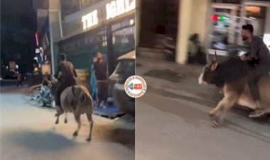 Man Riding a Bull: रॉकेट की स्पीड से दौड़ रहे बैल की सवारी करता दिखा शख्स, नज़ारा देख आसपास खड़े लोग रह गये दंग, यहाँ देखें वीडियो...