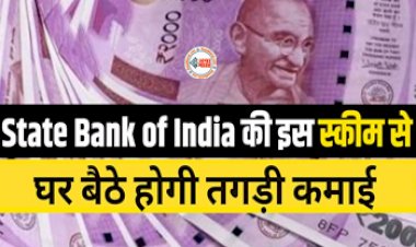 SBI Annuity Deposit Scheme : SBI की इस जबरदस्त स्कीम में करें निवेश, हर महीने ब्याज के साथ होगी बम्पर कमाई, यहाँ देखें स्कीम से जुड़ी सारी अपडेट...