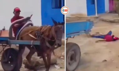 Funny Video: तांगे पर आराम से बैठकर जा रहा था शख्स, तभी अचानक उसके ऊपर गिर गया एक नकली सांप, फिर जो हुआ...- यहाँ देखें वीडियो...