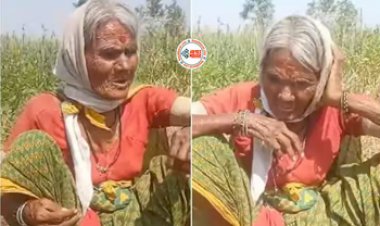 Singing Viral News : 'बहारों फूल बरसाओ' गाना को खेत में काम करते-करते बुजुर्ग महिला ने ऐसे गाया, वीडियो देख खुश हो गये लोग- यहाँ देखें वीडियो...