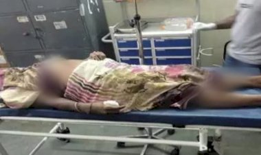 CG NEWS : शौच करने गई बुजुर्ग महिला को दंतैल हाथी ने कुचला, मौके पर दर्दनाक मौत, परिवार में पसरा मातम