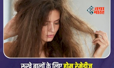 Hair Growth : रूखे बालों से है परेशान! तो आज ही इन घरेलु उपायों को अपनाइए, पहले से भी ज्यादा चमकने लगेंगे आपके बाल...