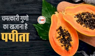 Papaya Benefits : चमत्कारी गुणों का खजाना है पपीता, स्वाद के साथ देता है गजब के फायदें, यहाँ देखें इसके फायदें और नुकसान...