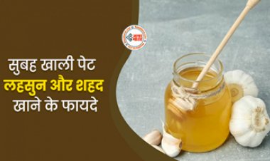 Honey Garlic Benefits : रोज सुबह खाली पेट करें लहसुन और शहद का सेवन, सेहत को मिलेंगे चौंकाने वाले फायदे, वजन कंट्रोल के साथ हार्ट की समस्या के लिए भी है बेहद लाभकारी...