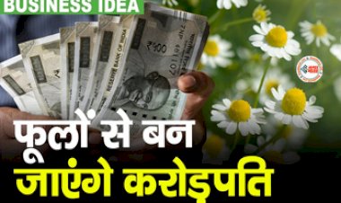 Business Ideas : शुरू करें इस फूल की खेती! जल्द ही बन जायेंगे करोड़पति, जाने लागत, उत्पादन और कमाई...