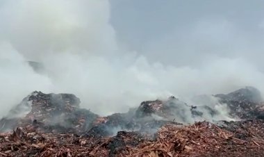 BHILAI NEWS : प्लायवुड कंपनी में लगी भीषण आग, 8 दमकल वाहन मौके पर पहुंची, अबतक नहीं हुई काबू आग