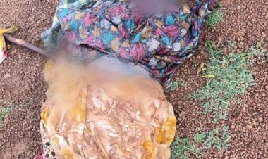 CG NEWS : खेत में बकरी चरा रही थी महिला, अचानक आकाशीय बिजली गिरने से मौके पर मौत