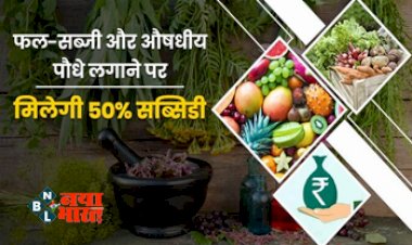 Kisan Yojana: फल-सब्जी और औषधीय पौधे लगाने पर मिलेगी 50% सब्सिडी- जाने क्या है स्कीम और कैसे मिलेगा फ़ायदा...