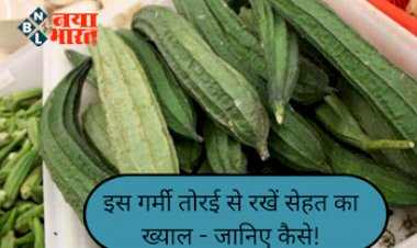 Ridge gourd: बोरिंग सी दिखने वाली तोरई में हैं अनेकों फायदे, इस गर्मी तोरई से रखे सेहत का ख्याल जाने कैसे...