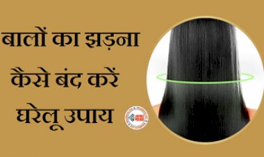 Hair Care Tips: झड़ते बालों से है परेशान! आज ही अपनाएँ ये घरेलु उपाय, यहाँ जाने कैसे करें तैयार और अप्लाई...
