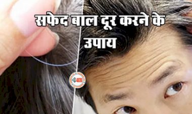 How to Force Black : सफ़ेद बालों ने कर रखा है परशान! अपनाएँ ये शानदार घरेलु नुस्खें, कुछ ही दिनों में नज़र आएगा फर्क...