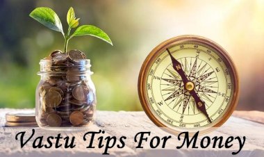Vastu Tips: पैसे गिनते या पर्स में रखते समय न करें ये गलतियां, मां लक्ष्मी हो जाती हैं नाराज