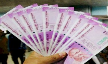 Employees Honorarium Hike : हजारों कर्मचारियों के लिए Good News, मानदेय में होगी 10 प्रतिशत की वृद्धि, वेतन में 1400 रुपए का इजाफा संभव…