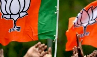 CG POLITICAL NEWS : नेता प्रतिपक्ष नारायण चंदेल ने किया बड़ा खुलासा, चुनाव को लेकर कही यह बात