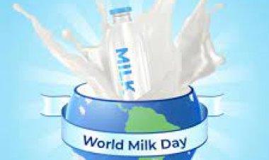World Milk Day 2023 : इस दिन मनाया जायेगा वर्ल्ड मिल्क डे, जाने इसके बारे में