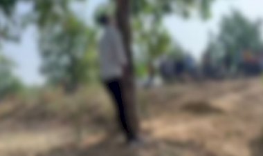 CG CRIME NEWS : पेड़ से लटकती मिली युवक की लाश, जताई गई यह आशंका