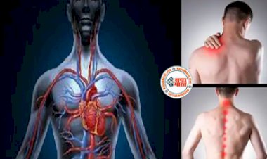 Good Health : अगर आपके शरीर की नस हैं कमजोर तो इन चीजों के सेवन से खुल जाती हैं नसें! इस उपायों से बनाएं अपने शरीर की नशों को मजबूत...