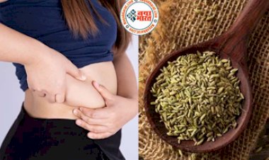 Fennel Seeds For Weight Loss : मोटापा घटाने का सबसे बढ़िया तरीका है यह किचन मसाला, रोजाना सेवन से दमकती त्वचा के साथ मिलते हैं ये गजब के फायदे...