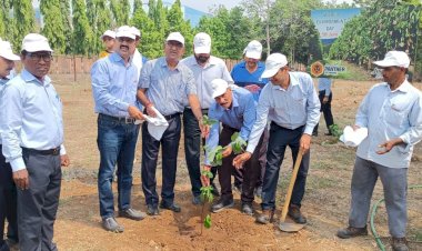 जिंदल स्टील एंड पावर लिमिटेड ने मनाया पर्यावरण दिवस...