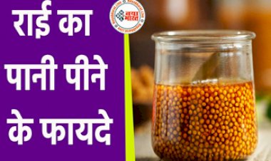 Raee khane ke fayde : पायरिया से लेकर पेट दर्द तक कई बीमारी का रामबाण इलाज है राई, भीगी हुई राई का पानी पीना होगा लाभदायक, जानें इस्तेमाल का सही तरीका...
