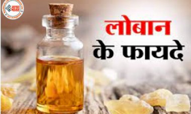 Frankincense Remedies: हिंदू धर्म में लोबान का होता है विशेष महत्व, इसके उपाय और टोटके लाइफ में चल रही परेशानियों के लिए है बेहद लाभकारी...