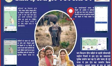 Hi-Tech Monitoring Of Elephant : छत्तीसगढ़ में हाथियों के मूवमेंट की हाईटेक मॉनिटरिंग, ग्रामीणों को मोबाइल पर मिल रहा है अलर्ट