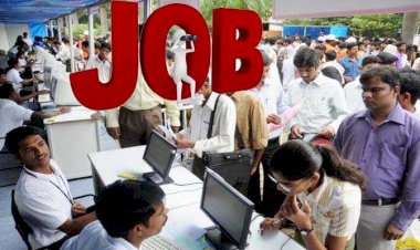 Job Fair In Durg : 836 पदों के लिए 10 जून को विशेष रोजगार मेला का आयोजन