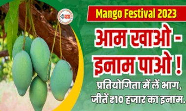 Mango Festival: आम महोत्सव का आयोजन ! आम खाओ – इनाम पाओ प्रतियोगिता में लें भाग, जीतें ₹10 हजार का इनाम, फटाफट कराएं रजिस्ट्रेशन....