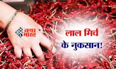 Red chilli : खाने में लाल मिर्च का तड़का सेहत पर पड़ सकता है भारी, शरीर को हो सकते हैं ये 5 नुकसान...
