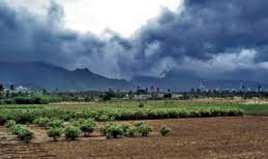 Monsoon In Chhattisgarh : मानसून प्रवेश 19 से 21 के मध्य संभावित, किसानों के लिए सलाह जारी