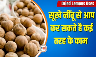 Dried Lemons Uses : सूखे हुए नीम्बू को फेंकने की ना करें भूल, बड़े काम आ सकते है आपके, ऐसे करें इस्तेमाल...