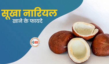 Benefits of Dry Coconut: खाली पेट सूखा नारियल खाने के है गजब के फायदें, सेहत के लिए है बेहद फायदेमंद....