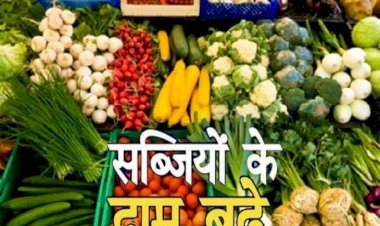CG में बेतहाशा बढ़े सब्जियों के दाम, रसोई का गड़बड़ाया बजट, जानिए क्या है वजह, अगले दो माह तक नहीं मिलेगी राहत