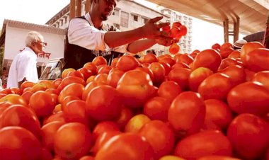 TOMATO PRICE HIKE : टमाटर की कीमत ने बिगाड़ा किचन का बजट, जाने क्या है भाव