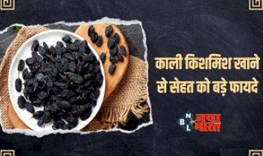Benefits of Black Raisins : अनगिनत खजानों से भरा है काली किशमिश, महिलाओं की सेहत के लिए है बेहद फायदेमंद, इन अनेक बिमारियों का कर देती है खात्मा...