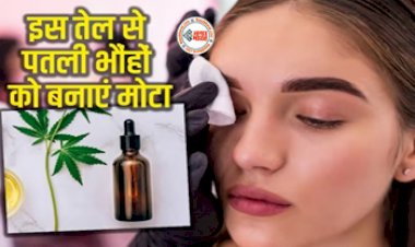 How To Use Castor Oil For Eyebrow : पतली आईब्रो से है परेशान! इस तेल का करें उपयोग, आपकी भौहें बनेंगी काली और घनी, इस तरह से करें इस्तेमाल...
