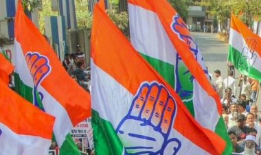 CG ब्रेकिंग न्यूज़ : विधानसभा चुनाव के लिए कांग्रेस ने की विभिन्न सात कमेटी का गठन…देखे सूची…