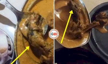 Dead Rat On Plate : रेस्टोरेंट में खाना खाने गए परिवार को परोसा गया मरा हुआ चूहा, फिर जो हुआ...- देखे वीडियो...