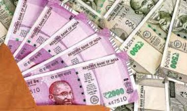7th Pay Commission : छग के सरकारी कर्मचारियों को मिली हरेली की सौगात, अगले महीने से खाते में बढ़े हुए DA के साथ आएगी सैलरी