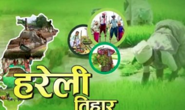 Hareli news : इस तरह मनाया जाता है त्योहार, जाने किन चीज़ो से होती है पूजा