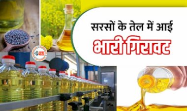 Mustard Oil Price Update: मानसून में आमआदमी को मिली बड़ी राहत! सरसों तेल के दाम में लगी फफूंद, जाने नये ताजा रेट...