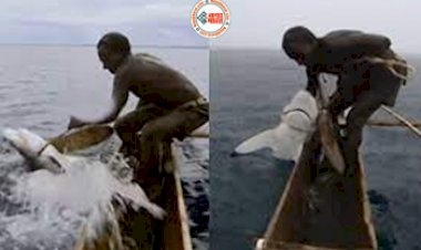 Shark Viral News : शख्स ने समुद्र में हाथों से ऐसे पकड़ ली शार्क, वीडियो देख लोग रह गए दंग...