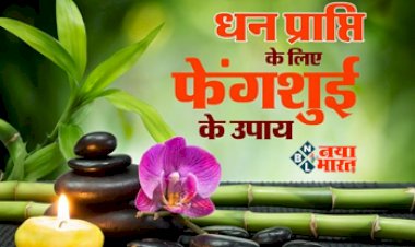 Feng Shui : धन-समृद्धि बढ़ाने के लिए अपनाएं ये फेंगशुई के उपाय, सुख-सौभाग्य का घर में होगा वास...